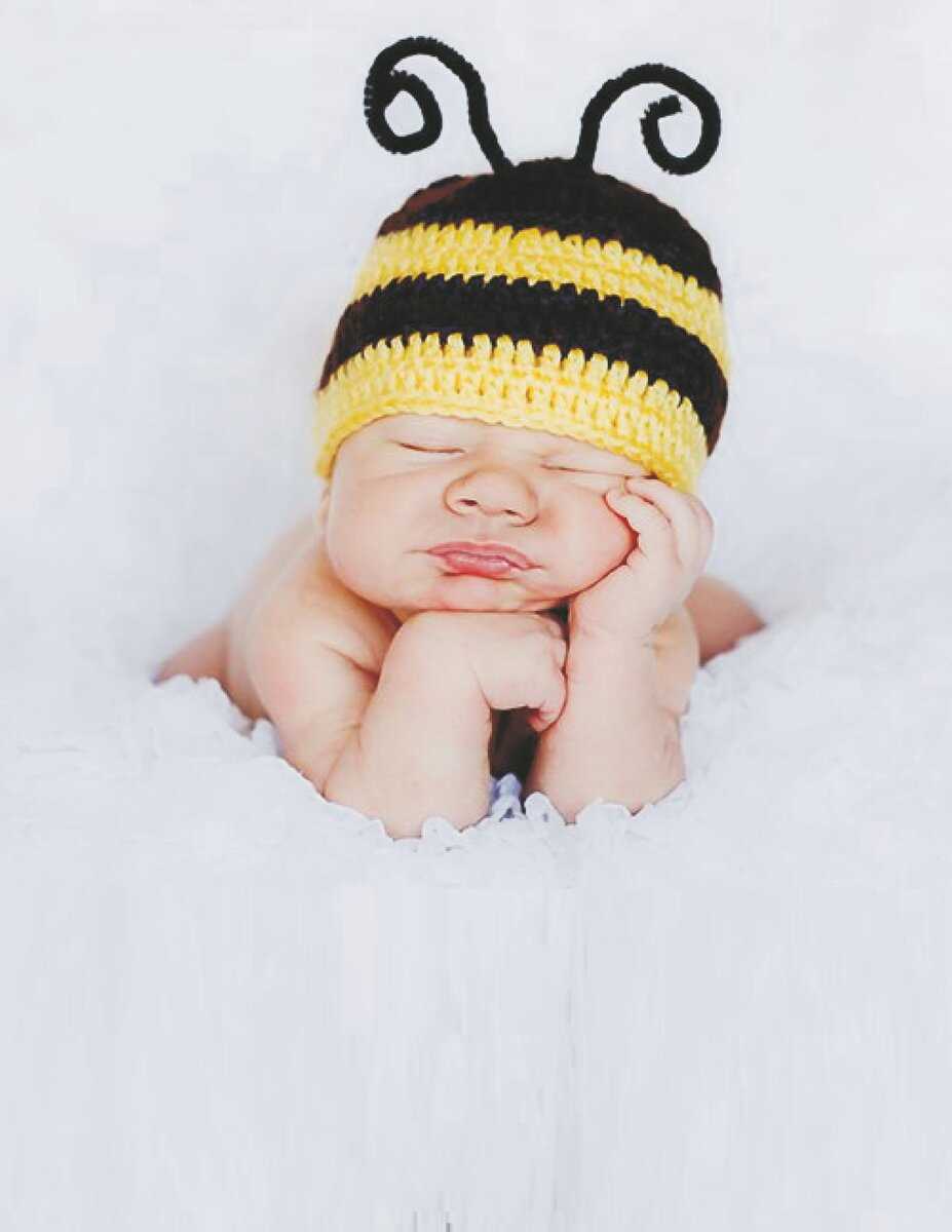Bumble bee hat knitting pattern