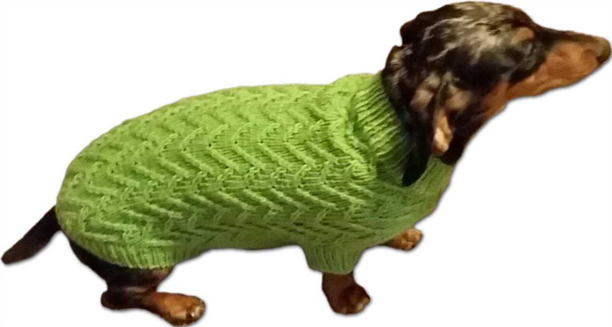 Chunky knit dog sweater pattern