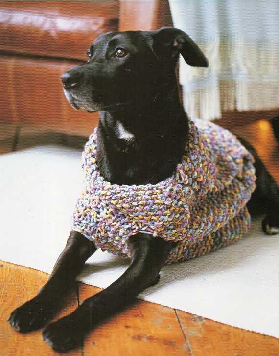 Chunky knit dog sweater pattern