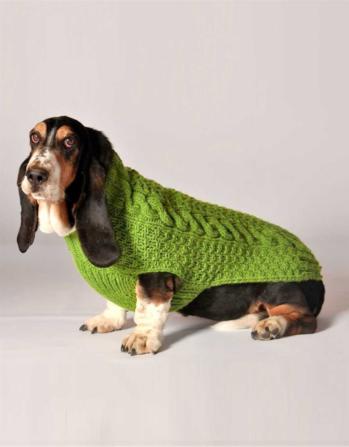 Chunky knit dog sweater pattern