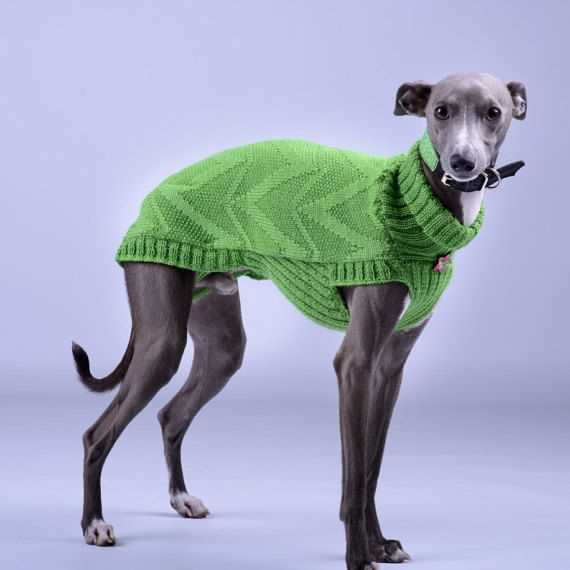 Dog coats for whippets and greyhounds knitting pattern
