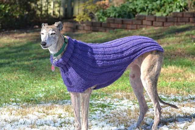 Dog coats for whippets and greyhounds knitting pattern