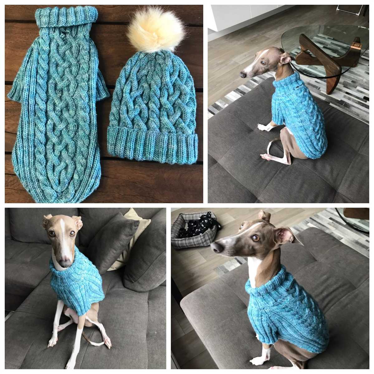 Dog coats for whippets and greyhounds knitting pattern