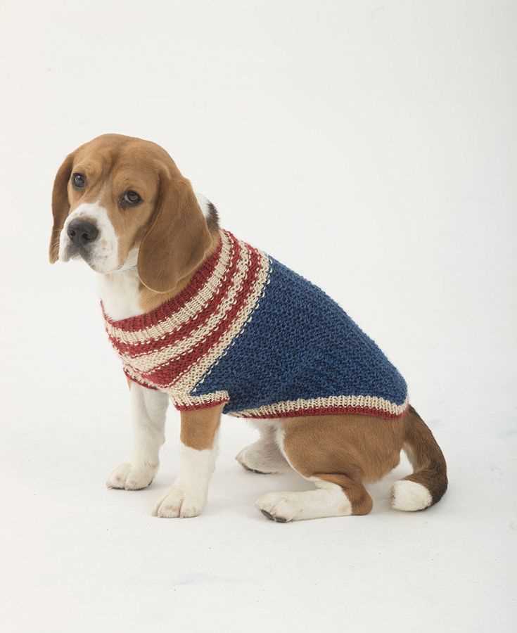 Free knitting patterns for pets