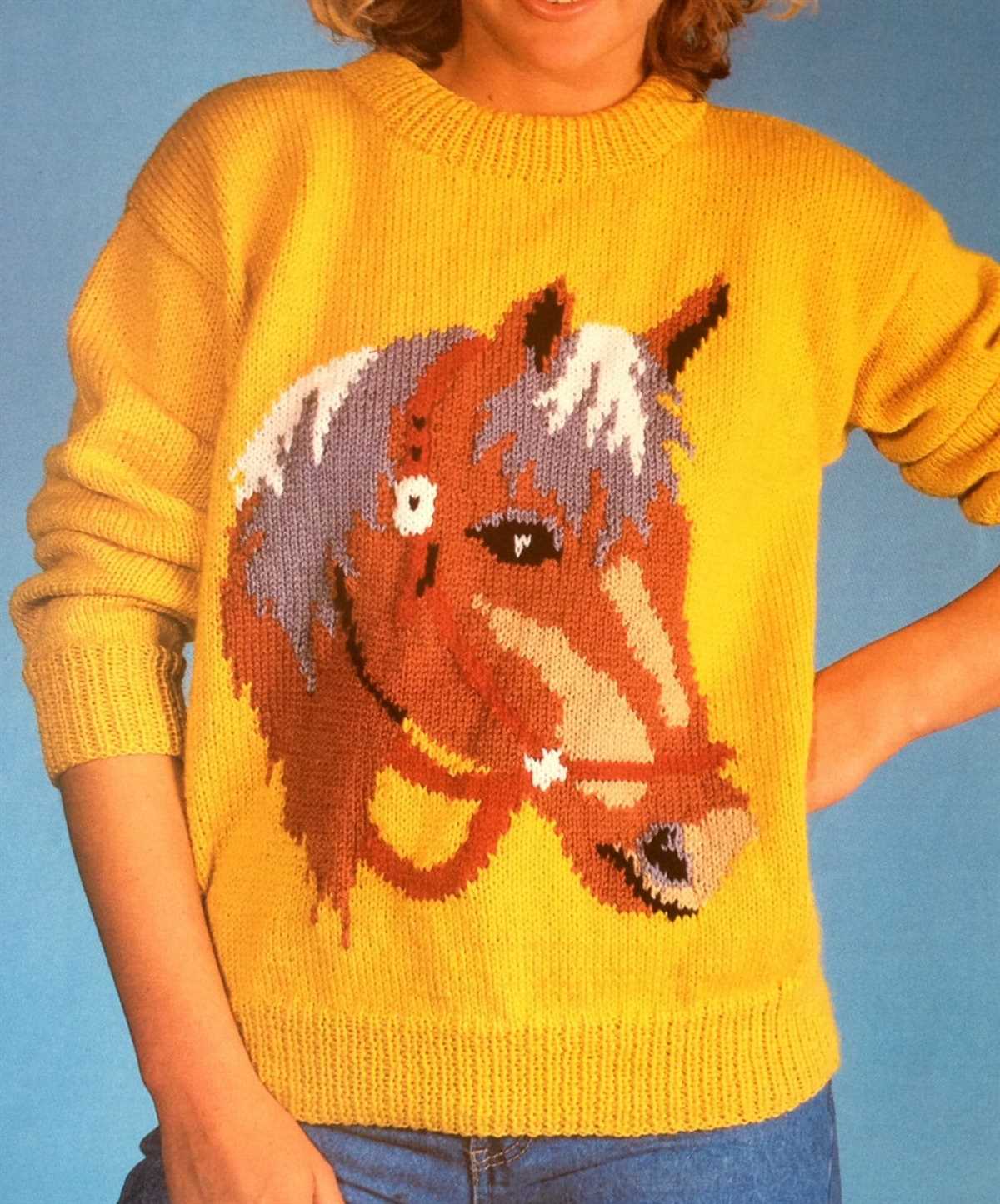 Intarsia knitting patterns sweaters
