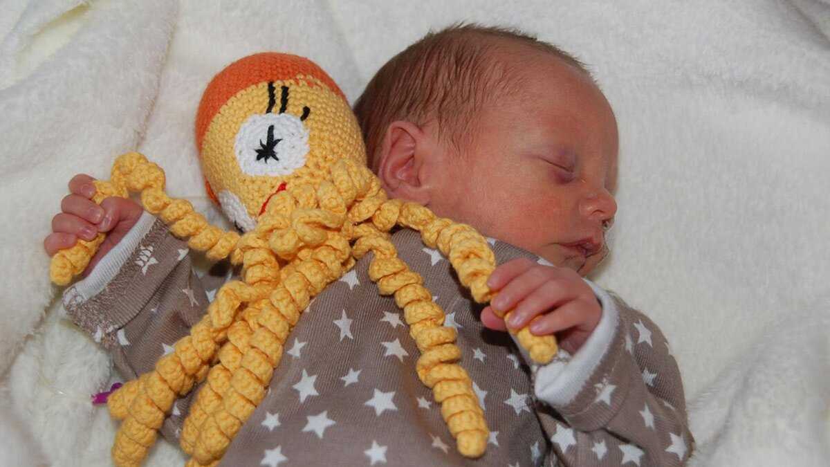 Small octopus knitting pattern