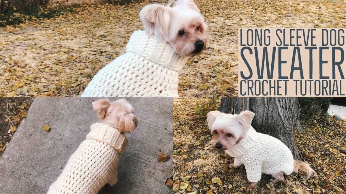 Chunky knit dog sweater pattern
