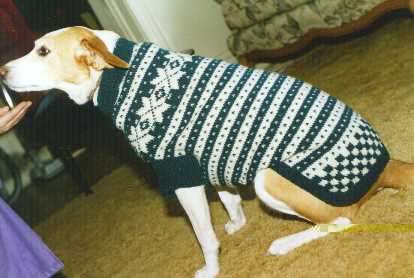 Chunky knit dog sweater pattern