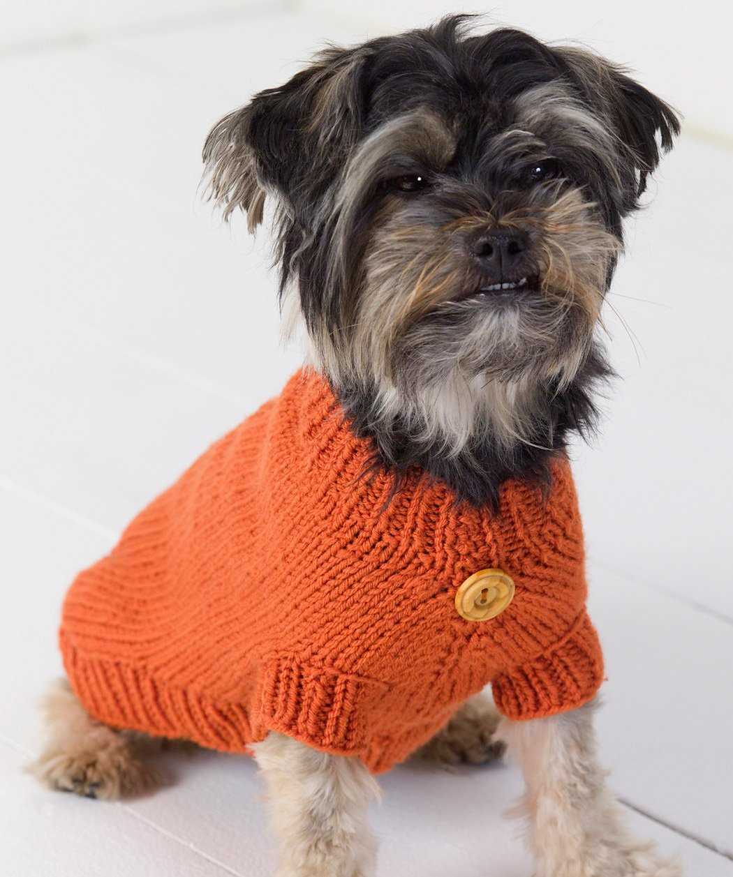 Free knitting patterns for pets