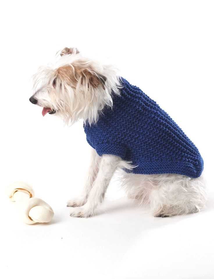 Free knitting patterns for pets
