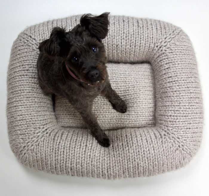 Free knitting patterns for pets