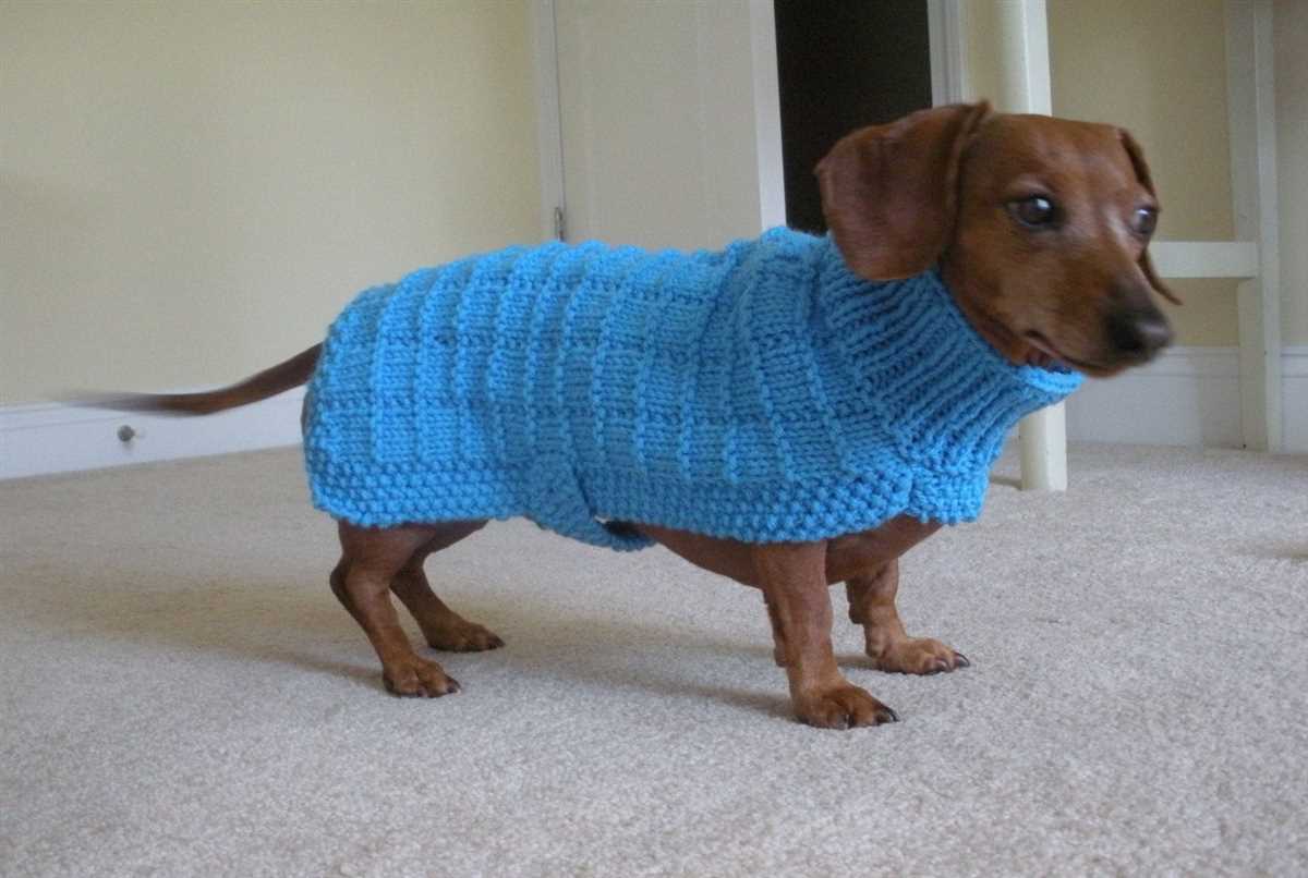 Free knitting patterns for pets