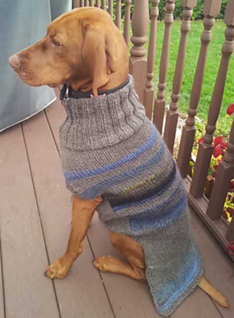Chunky knit dog sweater pattern