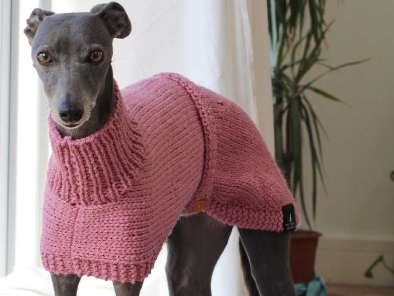 Dog coats for whippets and greyhounds knitting pattern