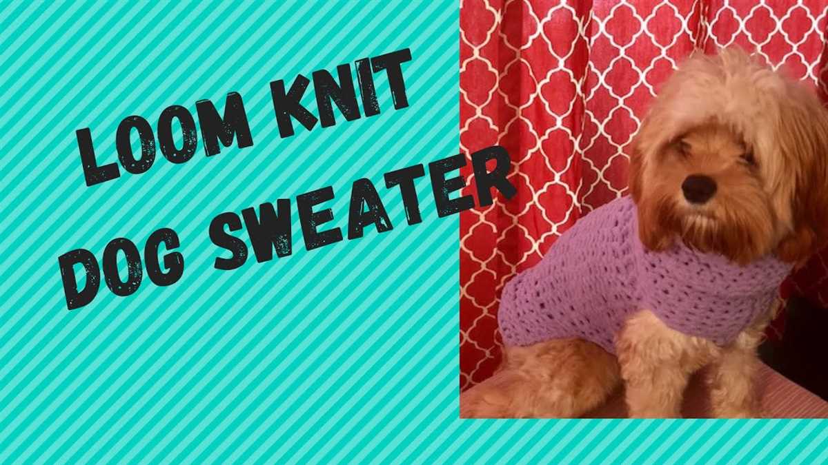 Chunky knit dog sweater pattern