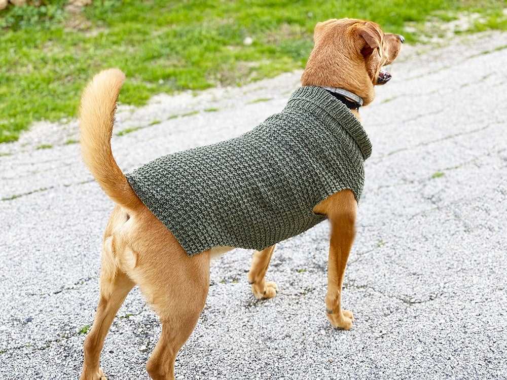 Chunky knit dog sweater pattern