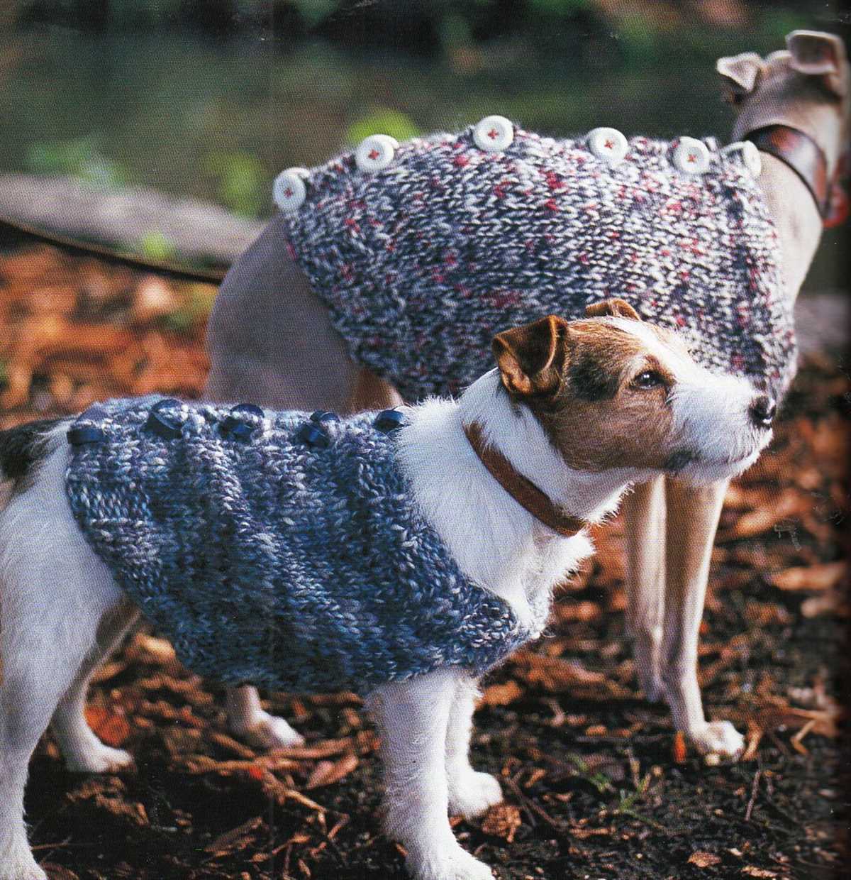 Free knitting patterns for pets