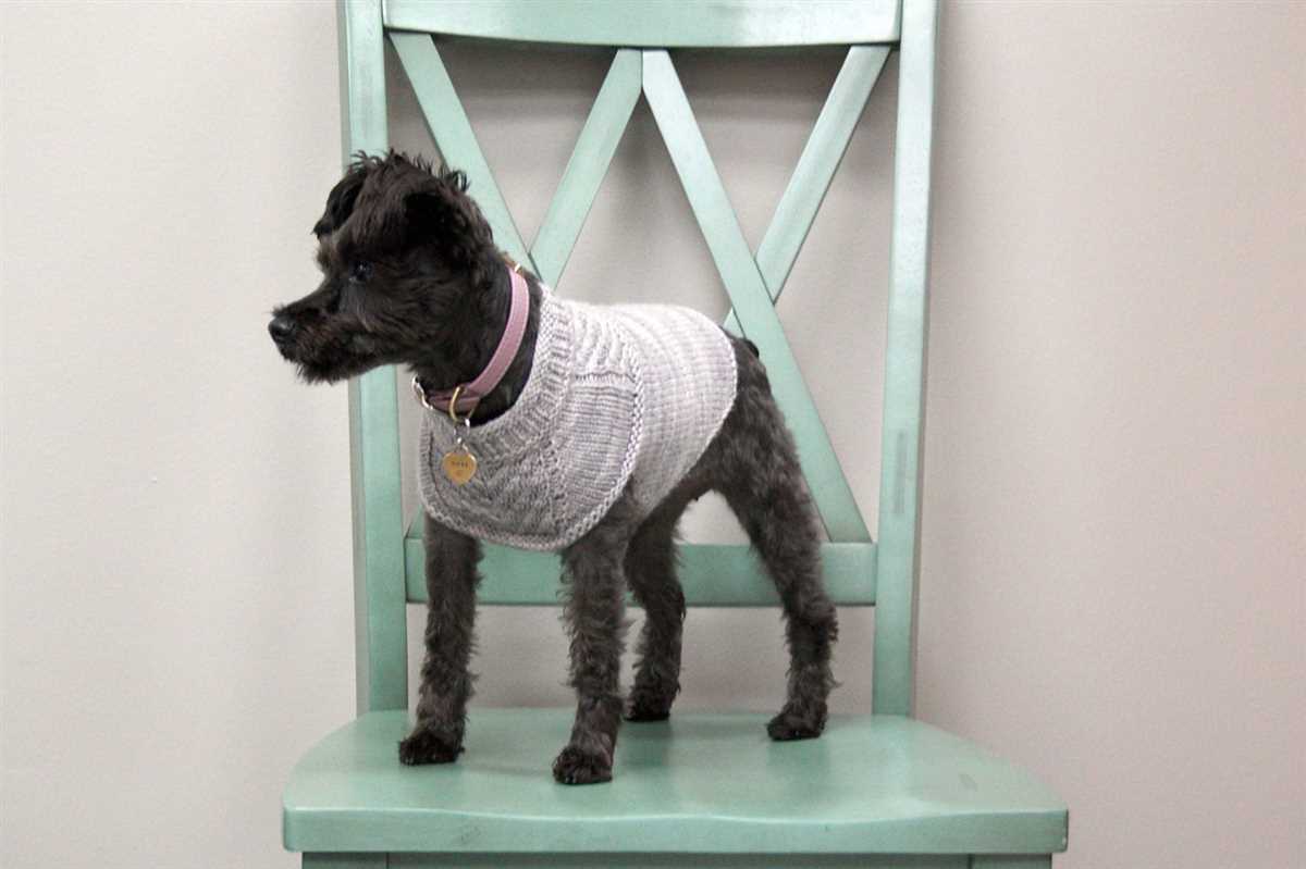 Chunky knit dog sweater pattern