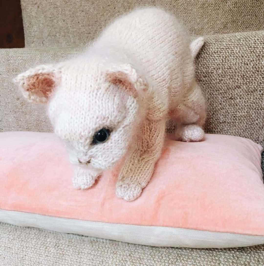 Sleeping cat knitting pattern free