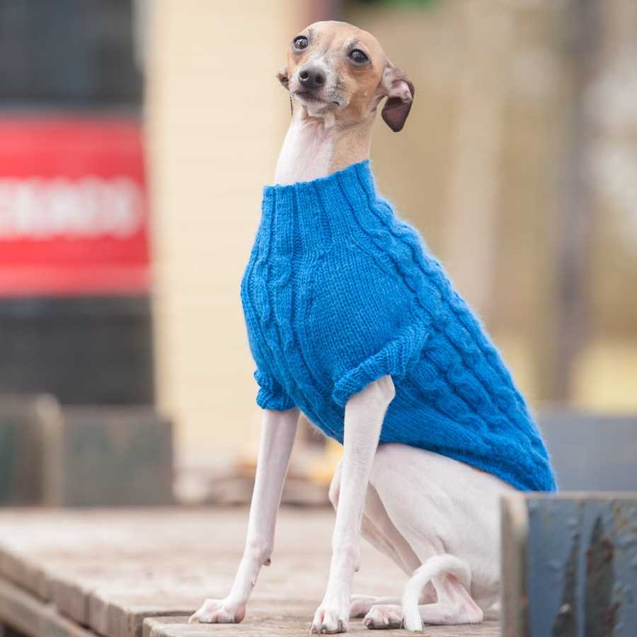 Dog coats for whippets and greyhounds knitting pattern