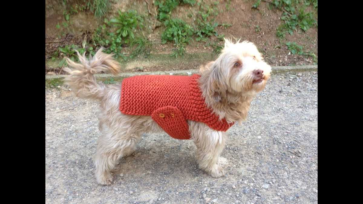 Free knitting patterns for pets