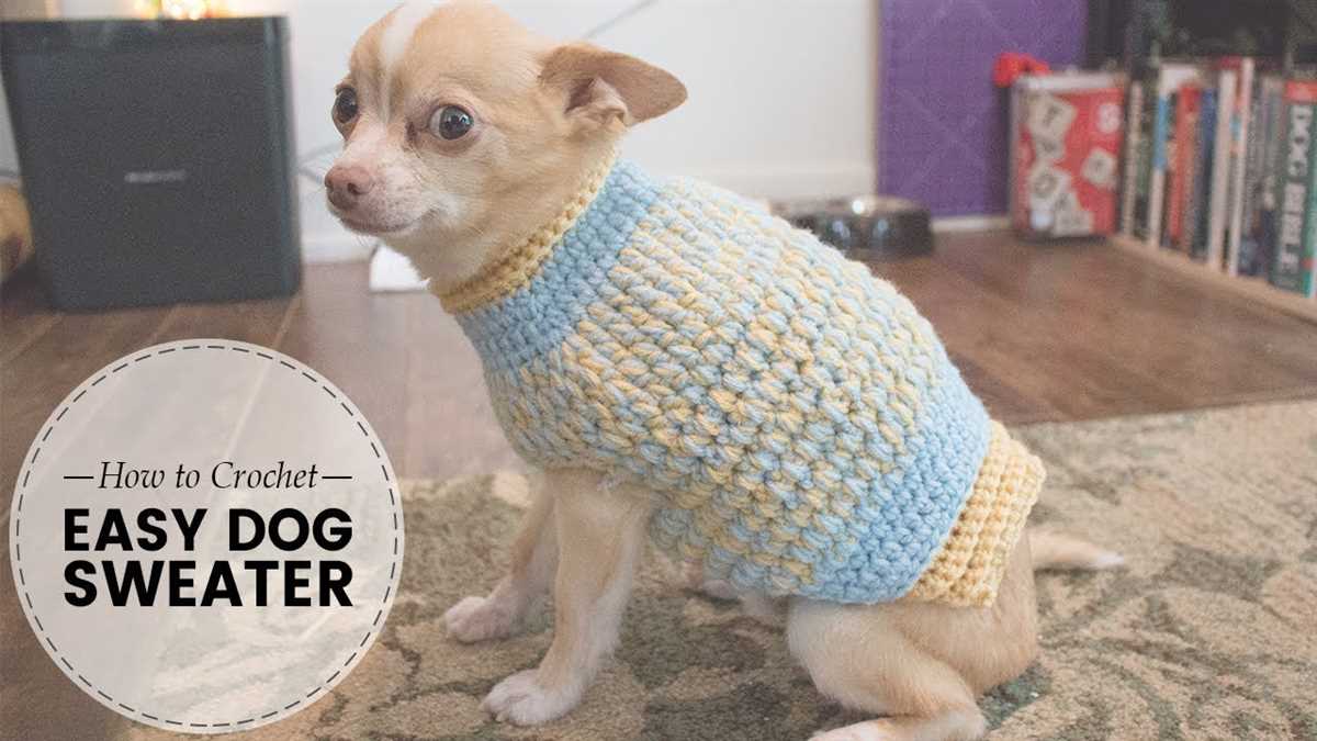Chunky knit dog sweater pattern