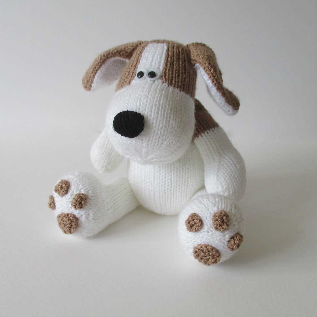 Amanda berry dog knitting patterns